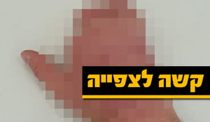 פייגלין מזהיר: "דם של חרדים במצות"