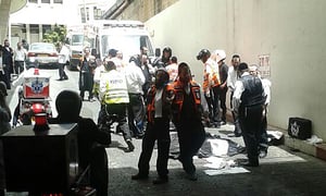 זירת הנפילה, הבקור