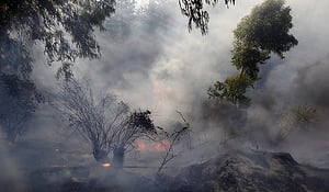 השריפה בירושלים