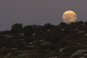 הירח הגיע לנקודה הכי קרובה לכדור הארץ והאיר בעוצמה • תמונות