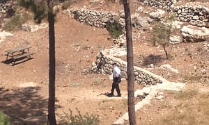 החיפושים ביער ירושלים, אתמול