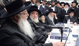 תיעוד: גדולי ישראל התכנסו בבית האדמו"ר מויז'ניץ