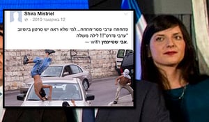 ​שירה מיסטריאל לצד אחד הפוסטים