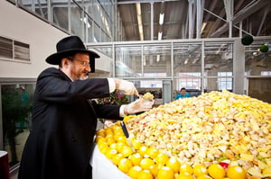 סלט הפירות הגדול בעולם בקהילה היהודית במוסקבה