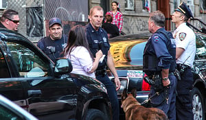שוטרים בברוקלין, ארכיון