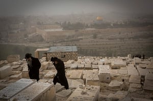 הר הזיתים, אילוסטרציה