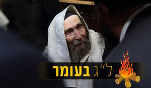 מרן הגראי"ל שטיינמן