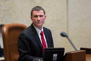 אדלשטיין: "רק השר האחראי ישיב להצעות לסדר שבתחומו"