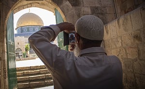 'יתד' תוקף: עשבי פרא מתפשטים ומקבלים לגיטימציה מסוכנת