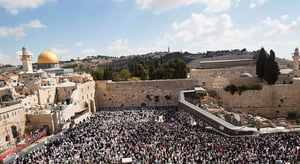 כבוד לאדם באשר הוא אדם / דעה