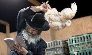 ניו יורק: ביהמ"ש התיר את הכפרות בתרנגולים