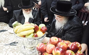 האדמו"ר מסקווירא לאחר הנחיתה בישראל