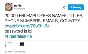 האקר פרו פלסטיני חשף עשרים אלף סוכני FBI