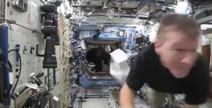 האסטרונאוט התחפש לגורילה ו"רדף" אחרי חברו