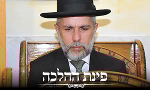 שיעורו השבועי של הגאון רבי זמיר כהן:   הלכות ספירת העומר ומנהגי אבלות