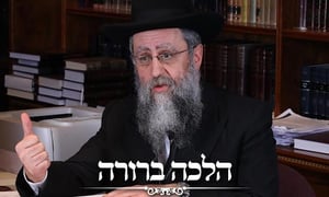 השיעור השבועי של חבר 'המועצת' הגר"ד יוסף: הלכות תשעת הימים