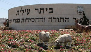 עיריית ביתר עילית לביהמ"ש: להקפיא את מכרז התחבורה