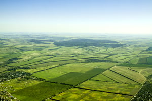 תקנות חדשות: סוף להונאות בשיווק קרקעות חקלאיות