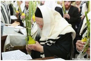 מרן שר התורה הגר"ח קנייבסקי בהלל ובהקפות בהושענות