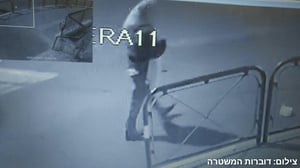 החשוד בגניבה