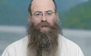 פרשת ויגש • וורט מיוחד מאת הרב נחמיה וילהלם