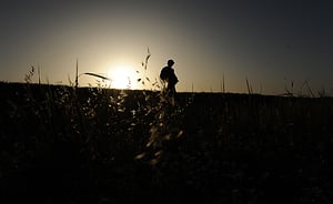 אילוסטרציה. למצולם אין קשר לנאמר בכתבה