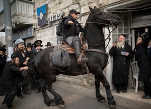 צפו: הסוסים מול מפגיני 'הפלג הירושלמי'