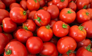 מחיר העגבנייה עלה, משרד החקלאות התערב