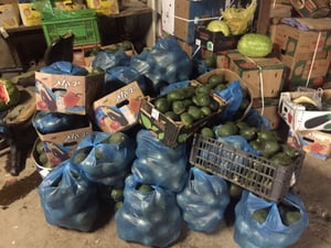 אב ובנו גנבו סחורה חקלאית בדרום ונעצרו