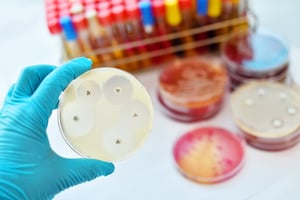 חיידקים עמידי אנטיביוטיקה מגיעים מסוריה