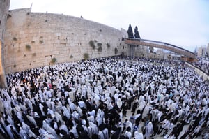 הילולת החפץ חיים:  אלפים התפללו בכותל • צפו