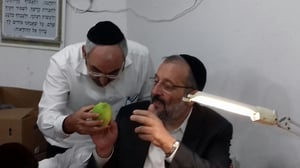 האתרוג המהודר של דרעי.