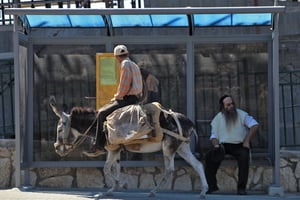 תחב"צ בירושלים. אילוסטרציה