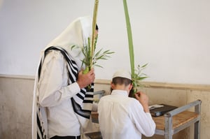 נטילת ארבעת המינים בציון הרשב"י במירון • צפו