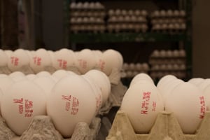 אושר ייבוא של כ-13 מיליון ביצים ללא מכס