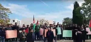 בלב תל אביב: עשרות מפגינים עם דגלי פלסטין. צפו
