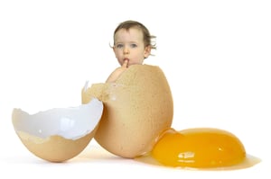 מחקר חדש: ביצה חשובה להתפתחות המוח