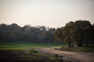 בית לחם הגלילית