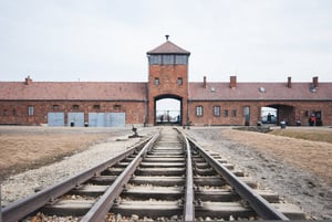 לבקשת רבנים: תוגש עתירה נגד "חוק השואה"
