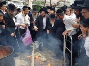 צפו: מרן שר התורה הגר"ח קנייבסקי בבדיקת ושריפת חמץ