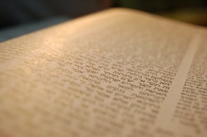 הדף היומי: מסכת זבחים דף ה' יום רביעי ג' באייר