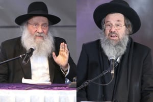 הגר"ד כהן והגר"ב סולובייצ'יק