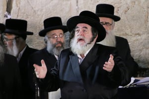 האדמו"ר מויזנ'יץ
