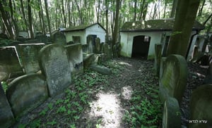 בית קברות בפולין