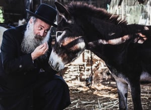 שולי רנד מפתיע בסינגל קליפ חדש - צדיק