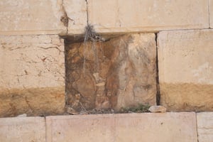 האם הכותל המערבי נמצא בסכנת קריסה?