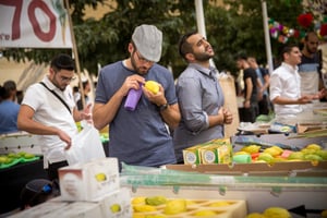 התחזית:  ירידה קלה בטמפרטורות, עדיין חם