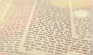 הדף היומי: מסכת מנחות דף ע"ב  יום ראשון י"ב בחשוון