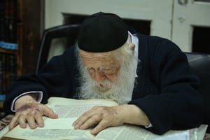 מרן הגר"ח קנייבסקי