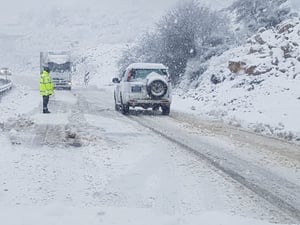 שלג ירד בצפון רמת הגולן; כבישים נחסמו ונפתחו